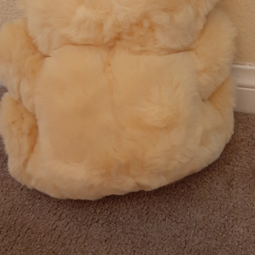 Teddy bear - Picture 5 of 5
